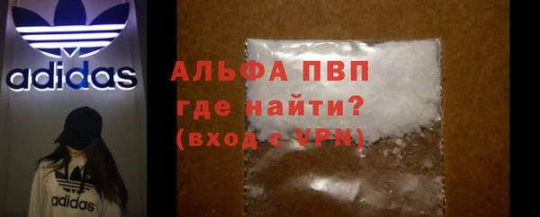 СК Абинск