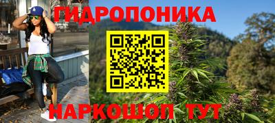 шишки Пыть-Ях