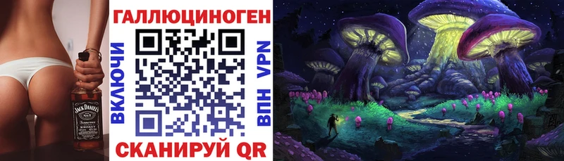 Галлюциногенные грибы Psilocybine cubensis  нарко площадка формула  Тихорецк 
